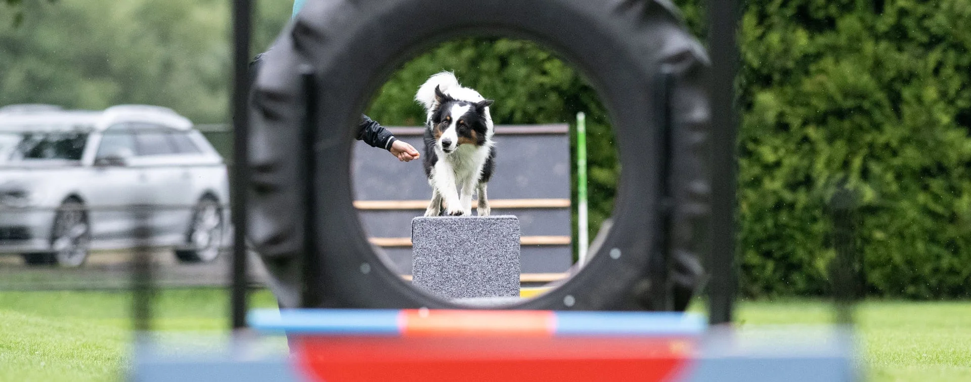 Hundeverein Niedernsill